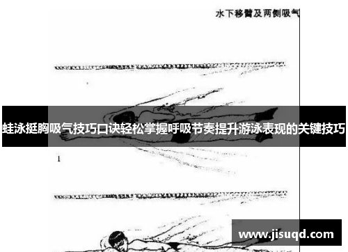 蛙泳挺胸吸气技巧口诀轻松掌握呼吸节奏提升游泳表现的关键技巧