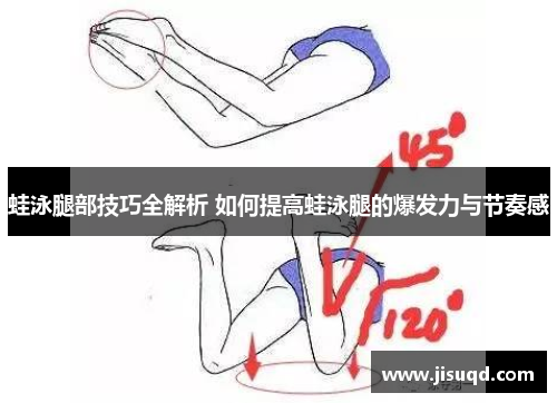 蛙泳腿部技巧全解析 如何提高蛙泳腿的爆发力与节奏感