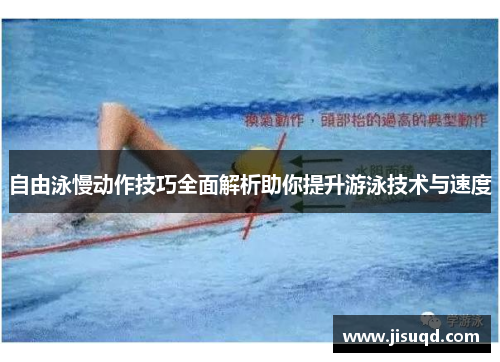 自由泳慢动作技巧全面解析助你提升游泳技术与速度